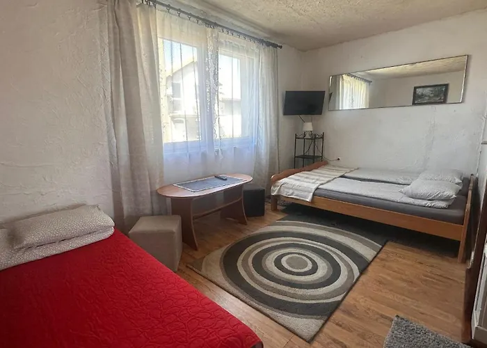 Kormoran Wczasy * Władysławowo